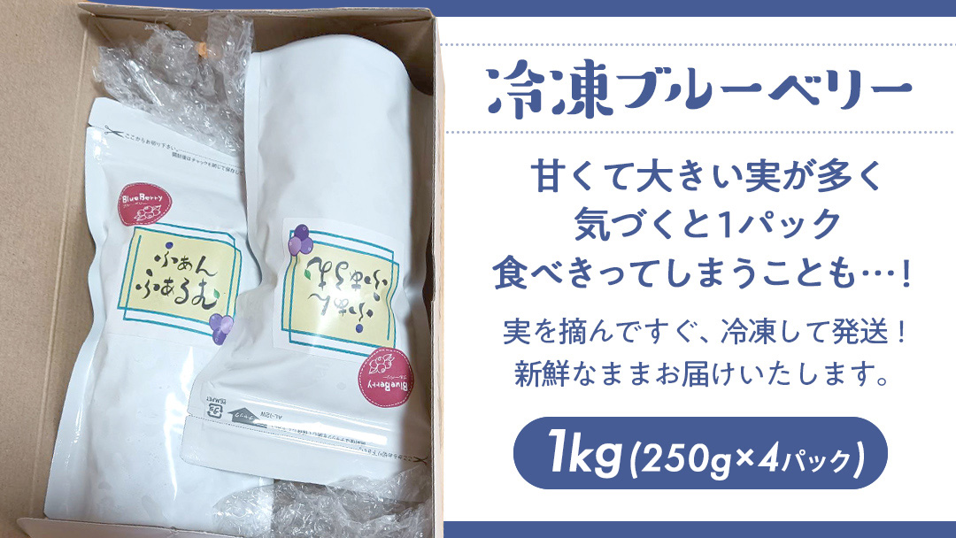 【2025年7月中旬から発送開始】 茨城県産 冷凍 ブルーベリー 合計 1kg (250g×4袋) 多品種 果実 果物 くだもの フルーツ おやつ ブルーベリー ベリー ジャム 小分け [DZ018sa]