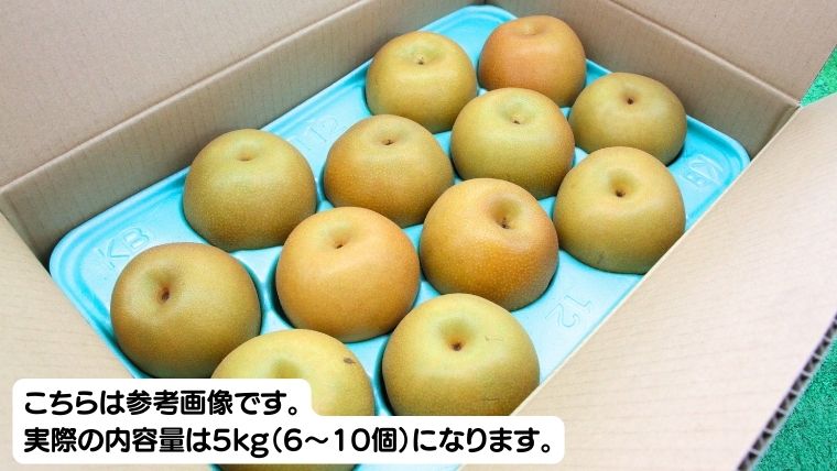 【先行予約】《秀品》にっこり梨 5kg 6玉～10玉（茨城県共通返礼品／かすみがうら市）[ED001sa] 鈴木農園 産地直送 フルーツ 甘い 直送 茨城 限定 にっこり [ED001sa]