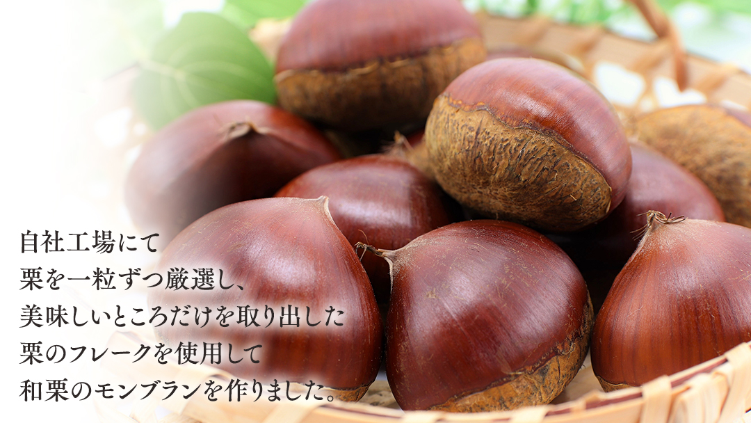 筑波 栗 の プチ モンブラン 約20g × 4個 和栗 和栗ペースト マロン クリーム 菓子 スイーツ オリジナル 洋菓子 和菓子 和スイーツ [EK013sa]