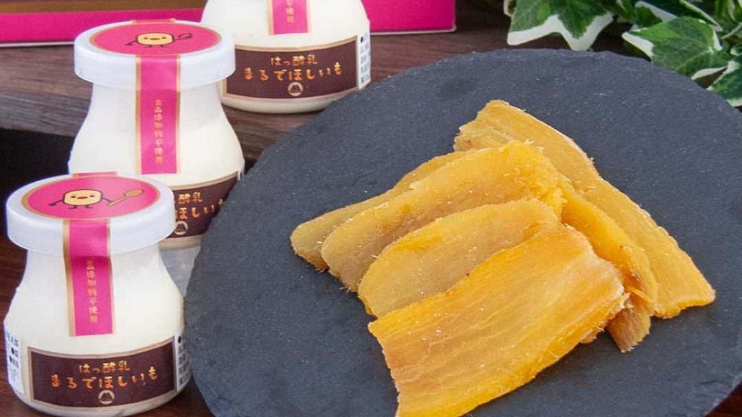 筑波ハム 『 まるで ほしいも 』 100g × 3個 ( ほしいもクン 特製 化粧箱 入り )( 茨城県共通返礼品 ) 自家製 ヨーグルト 紅はるか べにはるか 干し芋 干しいも デザート おやつ スイーツ [EN041sa]	