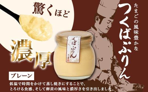 無地熨斗 つくばぷりん プレーン ＆ 抹茶ぷりん 各3個 計6個 冷凍 プリン ぷりん 抹茶 まっちゃ 茶 お茶 スイーツ 洋菓子 おやつ 冷菓 贅沢 ご褒美 デザート 和スイーツ 人気 グルメ お取り寄せ ギフト プレゼント 贈り物 つくば 送料無料 ふじ屋 茨城県 桜川市 [EW026sa]