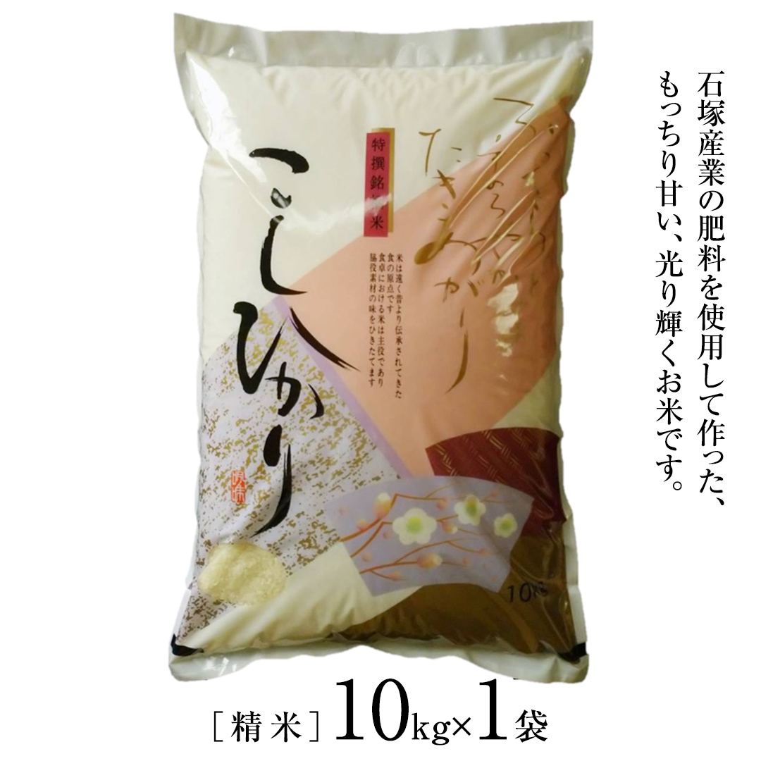 ＼ 6月出荷 ／【令和7年産】コシヒカリ 精米10kg（10kg×1袋）（茨城県共通返礼品 かすみがうら市産） 米 ごはん もっちり 甘い コメ お米 白米 銘柄米  [EX002sa-06]