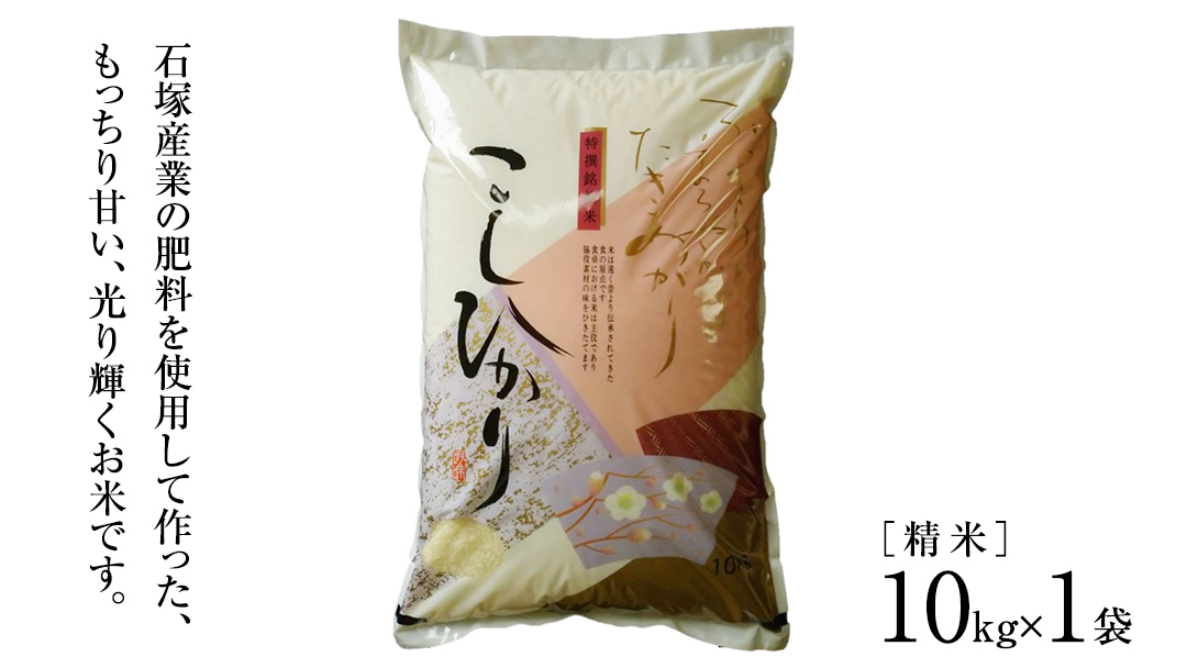 【令和7年産】 コシヒカリ 精米10kg（10kg×1袋）（茨城県共通返礼品 かすみがうら市産） 新米 米 ごはん もっちり 甘い コメ お米 白米 銘柄米 [EX002sa]