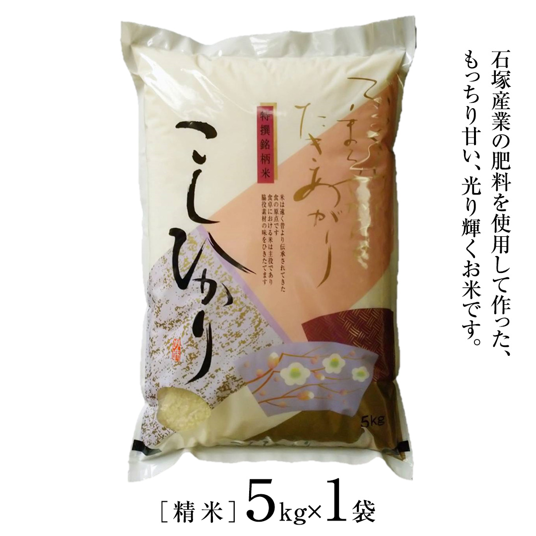 ＼ 8月出荷 ／【令和7年産】コシヒカリ 精米5kg（5kg×1袋）（茨城県共通返礼品 かすみがうら市産） 米 ごはん もっちり 甘い コメ お米 白米 銘柄米 [EX010sa-08]