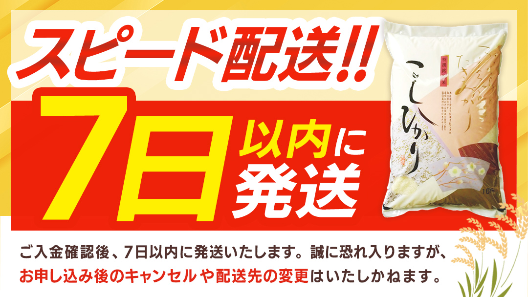 ≪ 令和7年度 新米 ≫ コシヒカリ 精米 5kg ( 5kg × 1袋 ) (茨城県共通返礼品 かすみがうら市産) 新米 米 ごはん もっちり 甘い コメ お米 白米 銘柄米 [EX010sa]