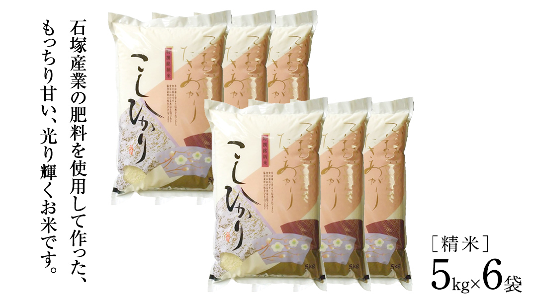 【 6ヶ月 定期便 】【 令和7年産 】 コシヒカリ 精米 5kg × 6回 ( 合計 30kg )（茨城県共通返礼品かすみがうら市）新米 米 ごはん もっちり 甘い コメ お米 白米 銘柄米 [EX018sa]