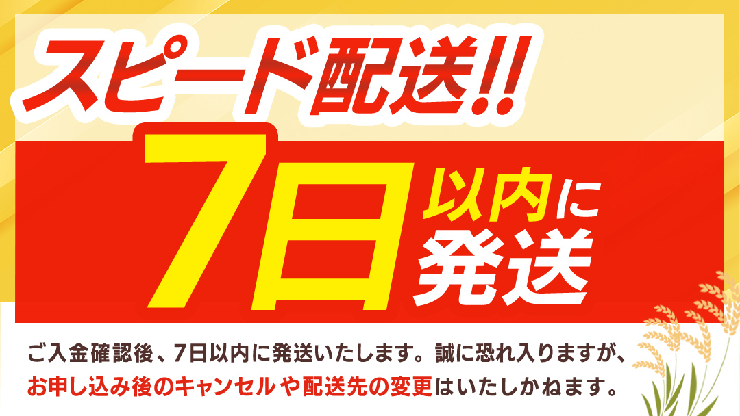 【 令和7年産 】 コシヒカリ 精米 1kg (茨城県共通返礼品 かすみがうら市) スピード発送 早い 新米 米 ごはん もっちり 甘い コメ お米 白米 銘柄米 5000 [EX029sa]