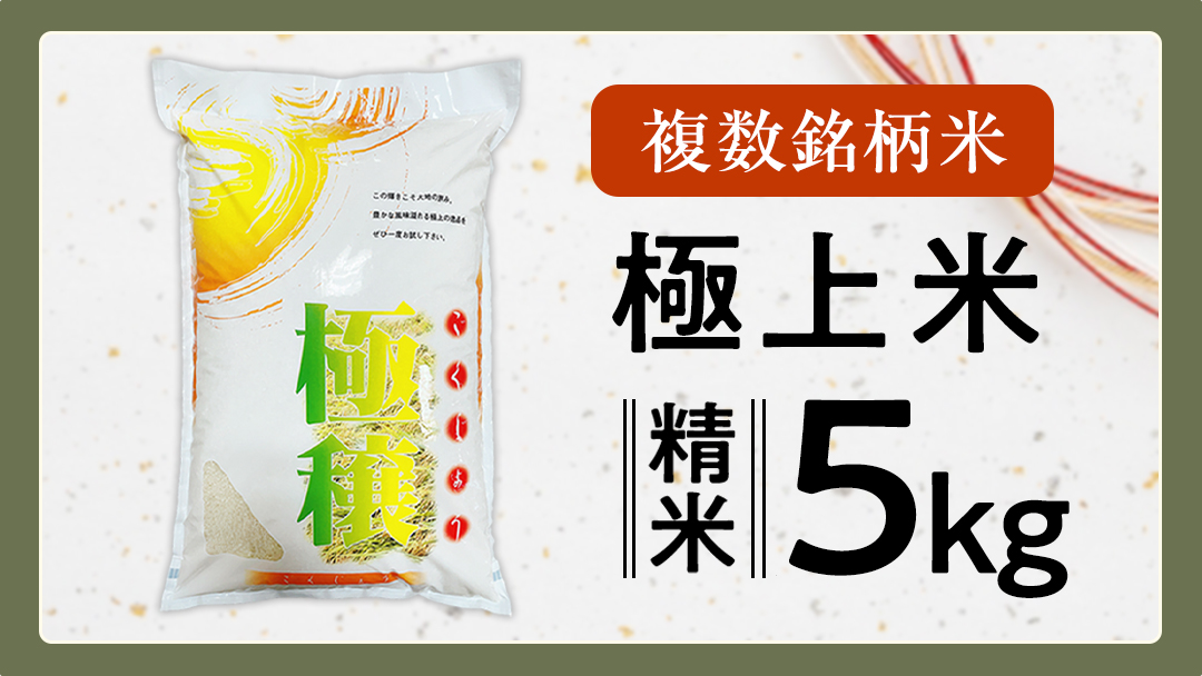 【 令和7年産 】 極上ふるさと米 精米 5kg (茨城県共通返礼品 かすみがうら市) スピード 最短 7日 すぐ届く すぐ発送 スピード発送 早い 米 ごはん もっちり 甘い コメ お米 白米 コシヒカリ こしひかり あきたこまち にじのきらめき ミルキークイーン オールインワン米 [EX031sa]