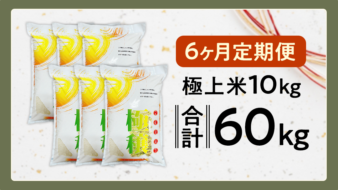 【 令和7年 】 【 6ヶ月 定期便 】 極上ふるさと米 精米 10kg × 6回 ( 合計 60kg ) (茨城県共通返礼品 かすみがうら市) スピード 最短 7日 すぐ届く すぐ発送 スピード発送 早い 米 ごはん もっちり 甘い コメ お米 白米 コシヒカリ こしひかり あきたこまち にじのきらめき ミルキークイーン オールインワン米 [EX036sa]