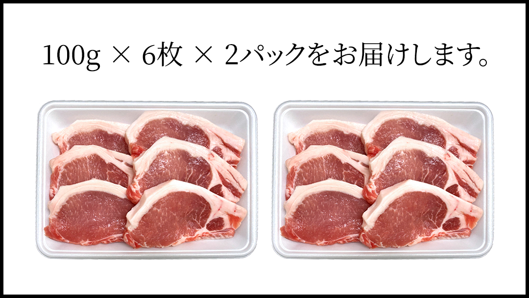 茨城県銘柄豚 「常陸の輝き」 ステーキ ・ とんかつ 用 ロース 1.2kg ( 100g × 6枚 × 2 パック ) (茨城県共通返礼品) 小分け ブランド豚 三元豚 豚肉 肉 冷凍 [FA007sa]