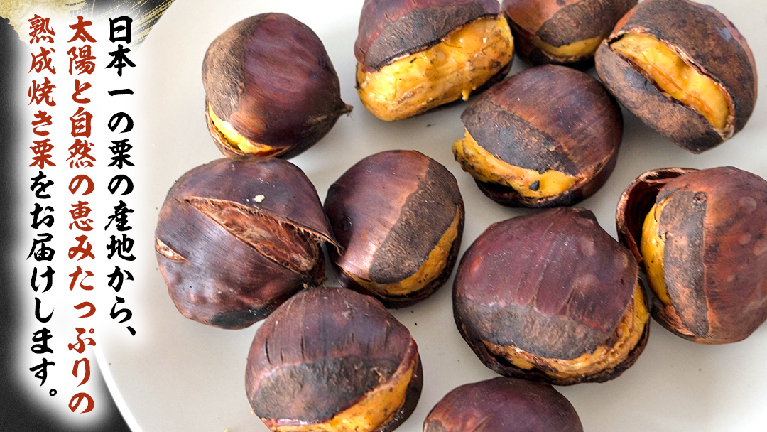 【 吉原農場 の 完熟栗 】 熟成 焼き栗 ( 200g × 4袋 ) 完熟 栗 くり クリ 栗ごはん 果物 フルーツ 贈答 ギフト 旬 秋の味覚 秋 冬 正月 おせち [FC001sa]