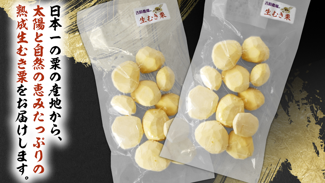 《 先行予約 》 【 吉原農場 の 完熟栗 】 熟成 生むき栗 ( 120g × 3袋 ) 完熟 栗 くり クリ 栗ごはん 果物 フルーツ 贈答 ギフト 旬 秋の味覚 秋 冬 正月 おせち 《 2025年10月下旬発送開始 》[FC003sa]