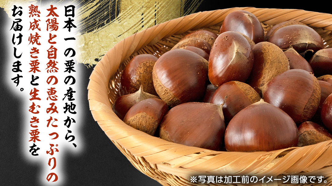 《 先行予約 》 【 吉原農場 の 完熟栗 】 熟成 生むき栗 ( 120g × 3袋 ) ＆ 焼き栗 ( 200g × 2袋 ) セット 完熟 栗 くり クリ 栗ごはん 果物 フルーツ 贈答 ギフト 旬 秋の味覚 秋 冬 正月 おせち 《 2025年10月下旬発送開始 》 [FC006sa]
