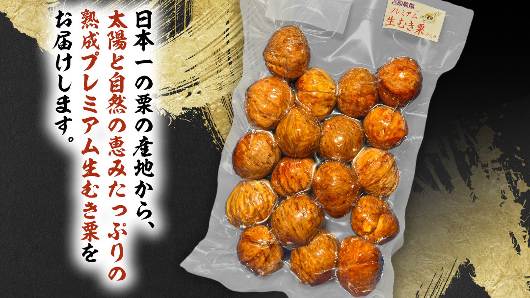 《 先行予約 》 【 吉原農場 の 完熟栗 】 熟成 プレミアム 生むき栗 ( 渋皮付き 500g × 1袋 ) 完熟 栗 くり クリ 栗ごはん 果物 フルーツ 贈答 ギフト 旬 秋の味覚 秋 冬 正月 おせち 《 2025年10月下旬発送開始 》[FC007sa]