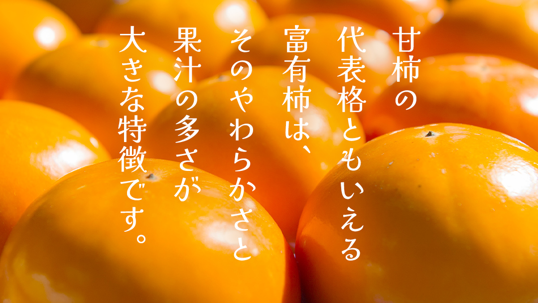 富有柿 12～16玉（茨城県共通返礼品：かすみがうら市） 【2026年11月中旬発送開始】 柿 かき 富有カキ ( 1箱 ) 果物 フルーツ くだもの カキ 富有かき 秋 旬 発送 産地直送 農家直送 産直 茨城県 [FF003sa]