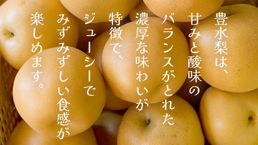 豊水 約5kg（茨城県共通返礼品：かすみがうら市） 【2026年9月上旬発送開始】 梨 数量限定 なし ナシ フルーツ 果物 旬 産地直送 [FF004sa]