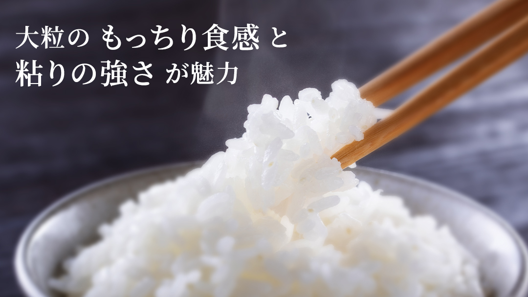 令和7年産 にじのきらめき 10kg ( 5kg × 2袋 ) 白米 精米 国産 茨城県 お米 米 おこめ おコメ ごはん 銘柄米 スピード 最短 7日 すぐ届く すぐ発送 [SC055sa-sp]