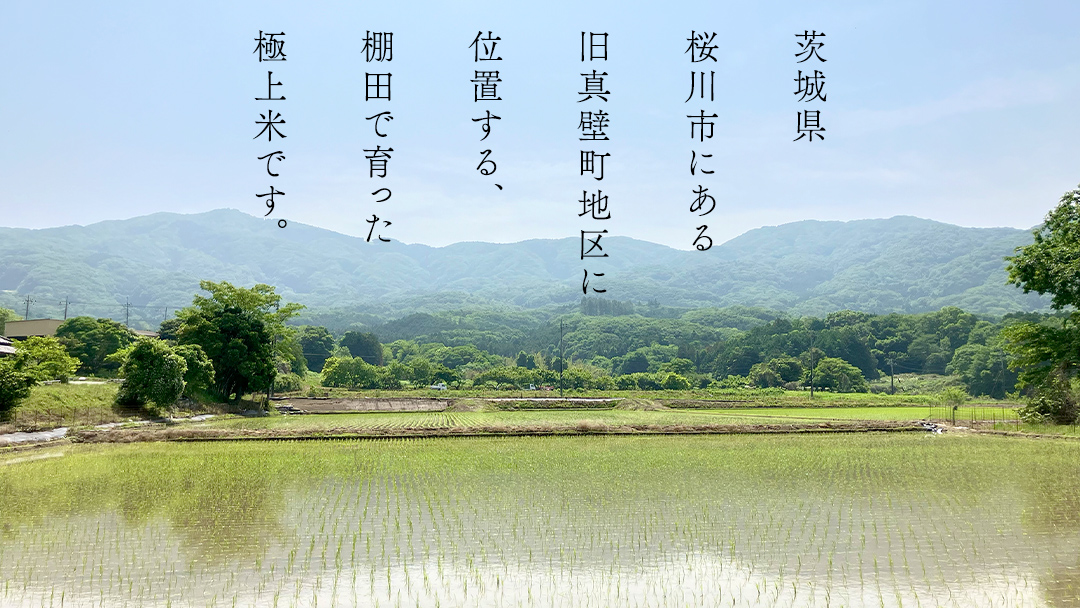 《 令和7年産 先行予約 》棚田で育った極上米 こしひかり 10kg ( 5kg × 2袋 ) 米 お米 白米 コメ ごはん 精米 コシヒカリ 国産 銘柄米 [SC062sa]