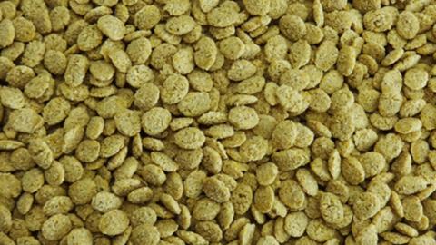 エクセル プロバードペレットＭ 200g×4袋 小鳥用 鳥 ペットフード 餌 えさ 穀類 [BU021sa]