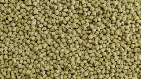 エクセル プロバード ペレットL 小鳥 主食 ペレット [BU022sa]