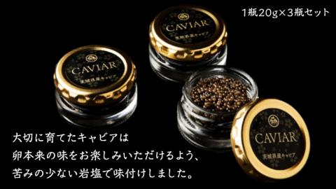 キャビア 詰め合わせ セット 20g×3 キャビア 高級食材 記念日 誕生日 世界三大珍味 国産キャビア [AI001sa]