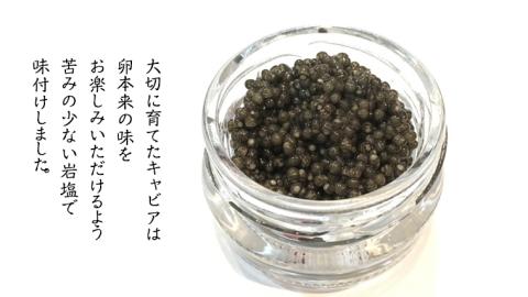 つくばスタージョン キャビア 20ｇ×1  キャビア 高級食材 記念日 誕生日 世界三大珍味 国産キャビア 茨城県産 茨城[AI005sa]