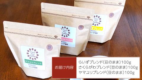 らいず珈琲 オリジナルブレンド ３種（各100g）【豆】  コーヒー 珈琲 豆 オリジナル ブレンド セット 飲み比べ [CK002sa]