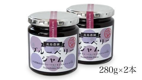 ブルーベリージャム 2本 ジャム ブルーベリー 国産 茨城県産 [AK007sa]