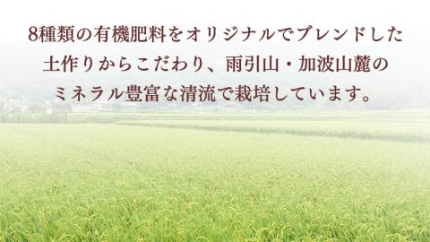 令和7年産 桜川市の 厳選 甘引米 コシヒカリ 食べ比べセット（玄米・精米） 特別栽培米 コシヒカリ こしひかり 玄米 精米 米 こめ コメ 有機肥料 桜川市産 茨城県[BA002sa]
