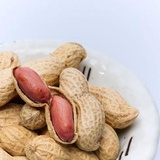 筑波山麓　特選から付き落花生[BB003sa]