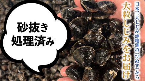 茨城県 涸沼産 大粒 冷凍 シジミ 3.2kg（400g×8袋） ヤマトシジミ しじみ 大粒 冷凍 味噌汁 スープ 魚貝類 貝 オルニチン コハク酸 小分け [EL002sa]
