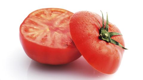 《 2026年収穫分 先行予約 》《 3回 定期便 》 糖度9度以上 スーパーフルーツトマト 小箱 約800g × 1箱 × 3回 フルーツトマト ブランドトマト 野菜 ギフト 贈答 [BC050sa]