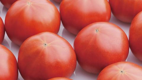 《 2026年収穫分 先行予約 》《 3回 定期便 》 糖度7度以上 フルーツトマト 大箱 約2.6kg × 1箱 × 3回 ブランドトマト 野菜 ギフト 贈答 [BC053sa]