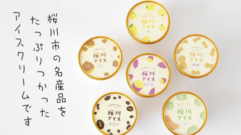 【生産者支援】桜川アイス 6種 6個 セット 数量限定 食べ比べ 90ml×6種類 桜川市のこだわり素材を使用 アイス あいす デザート スイーツ 産地限定 おやつ カップ [SC040sa]