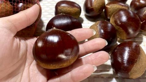 無燻蒸 生栗 3L サイズ 約 3kg [DH014sa]