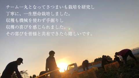 茨城県産 さつまいも 5kg （ シルクスイート ） サツマイモ さつま芋 産地直送 産直 焼き芋 焼いも 芋 いも イモ 野菜 国産 熟成 甘い 桜川市 [BC054sa]