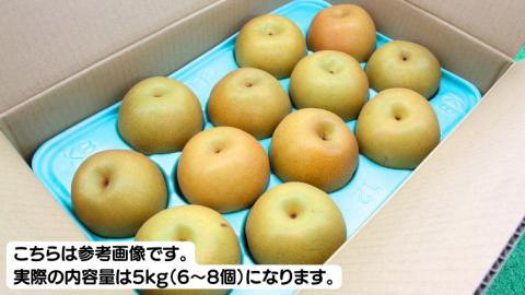【2025年9月下旬から発送開始】《優品》 にっこり梨 5kg 6玉～8玉（茨城県共通返礼品／かすみがうら市） 鈴木農園 産地直送 フルーツ 甘い 直送 茨城 限定 にっこり [ED002sa]