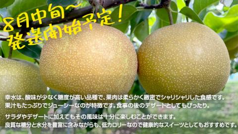 【2025年8月中旬から発送開始】 幸水 梨 約 5kg 10玉～14玉 【 茨城県共通返礼品 ／ かすみがうら市 】 なし 鈴木農園 産地直送 フルーツ 甘い 直送 茨城 限定 [ED003sa]