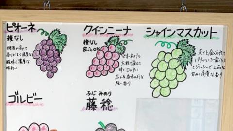 【 先行予約 】 茨城県産【 旬の味覚 】シャインマスカット クイーンニーナ と ピオーネ と 旬 の梨 秋月の詰め合わせ 約4kg (茨城県共通返礼品 かすみがうら市) (2025年9月上旬発送開始) 久保田果樹園 産地直送 フルーツ 甘い 直送 茨城 限定 ギフト ぶどう シャインマスカット クイーンニーナ 秋月 詰め合わせ 食べ比べ 果物 [DH013sa]