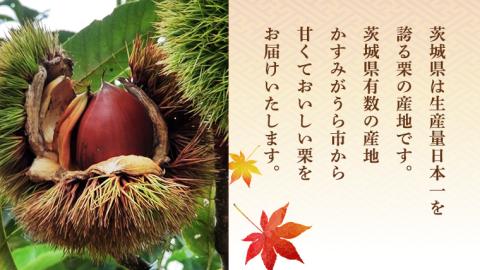 【先行予約】 生栗 3種 食べ比べ 約3kg （2024年10月中旬発送開始） 茨城県産 産地直送 久保田果樹園 [DH019sa]