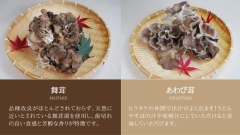 きのこ の 詰め合わせ Lサイズ 約2000g【茨城県共通返礼品 城里町】 キノコ 舞茸 あわび茸 たもぎ茸 しいたけ 花びら茸 [CX003sa]