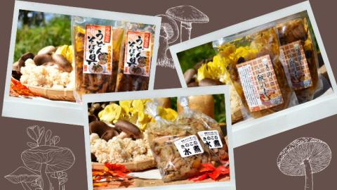 きのこ 加工品 詰め合わせ 5点 セット【茨城県共通返礼品 城里町】 惣菜 おかず きのこ 加工品 [CX004sa]