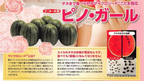 こだますいか ピノガール 2玉 《2026年5月中旬から発送開始》 すいか 小玉すいか 小玉 スイカ 果物 フルーツ [BQ018sa]