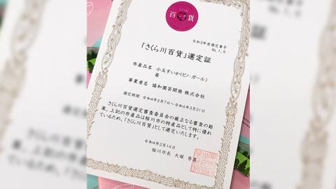 こだまスイカ ピノ・ガール（2玉） 【2026年5月中旬より発送開始】感動必至！ タネが気にならない スイカ 西瓜 小玉スイカ 小玉 果物 くだもの フルーツ 美味しい 茨城 [BC028sa]