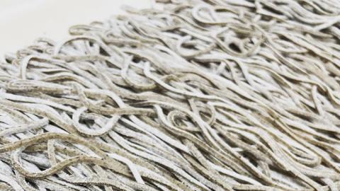 常陸秋そば 生そば 田舎そば せいろ 食べ比べセット 約 12人前 300g×6 蕎麦 生めん 田舎そば せいろ [BI005sa]