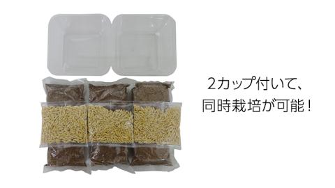 Nyantaste ねこ草ランド栽培セット 3回分×5袋 毛玉ケア 猫用 犬用 ペットフード [BU005sa]