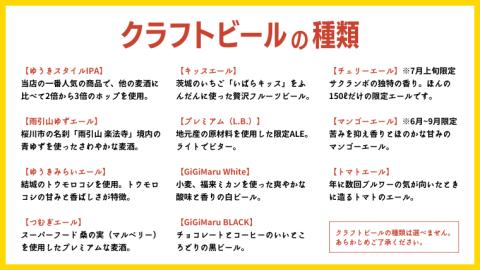 【12ヶ月定期便】クラフトビール おまかせ 6本 セット 定期便 （全12回） 結城麦酒 セット ビール 飲み比べ 詰め合わせ ご当地ビール クラフトビール 地ビール [DK004sa]