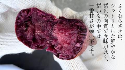 ふくむらさき 約5kg (茨城県共通返礼品／行方市) 2025年11月から発送開始 渋谷農園 さつまいも いも 芋 焼き芋 [DT003sa]