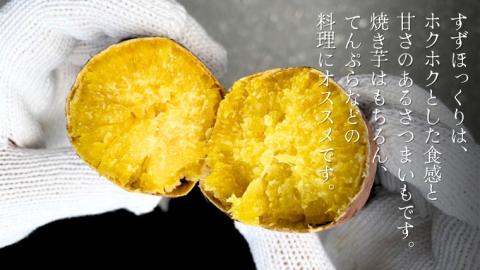すずほっくり 約5kg 【茨城県共通返礼品／行方市】 渋谷農園 さつまいも  いも 芋 焼芋 [DT005sa]