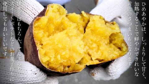 ひめあやか 約10kg (茨城県共通返礼品／行方市) 2025年11月から発送開始 渋谷農園 さつまいも いも 芋 焼き芋 [DT008sa]